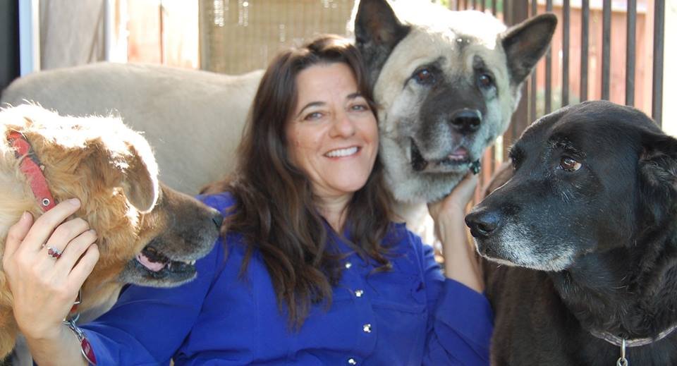 Writer Pat Kramer with her three dogs.